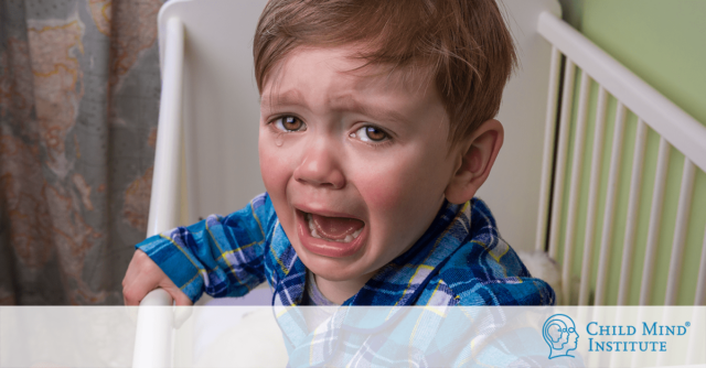 ¿Por qué los niños hacen berrinches y tienen crisis?