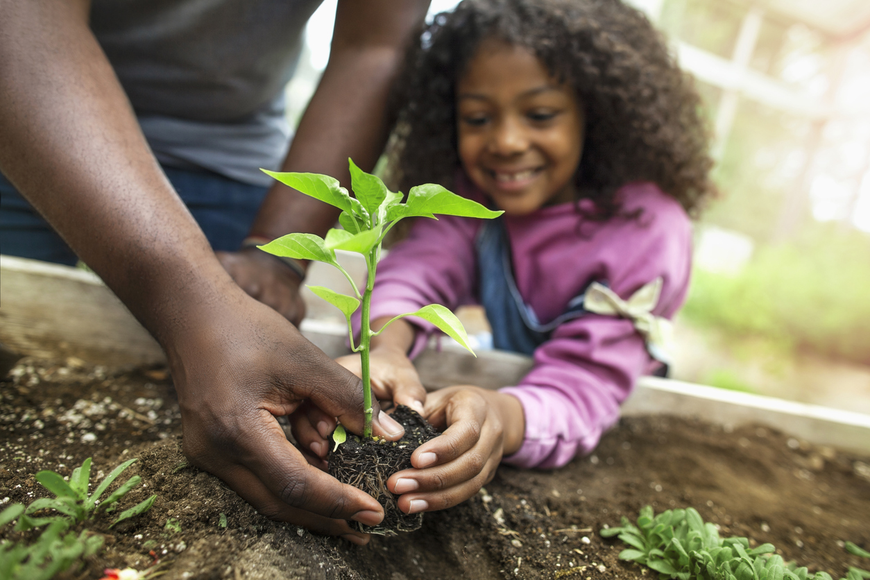 Kids And Climate Anxiety - Child Mind Institute