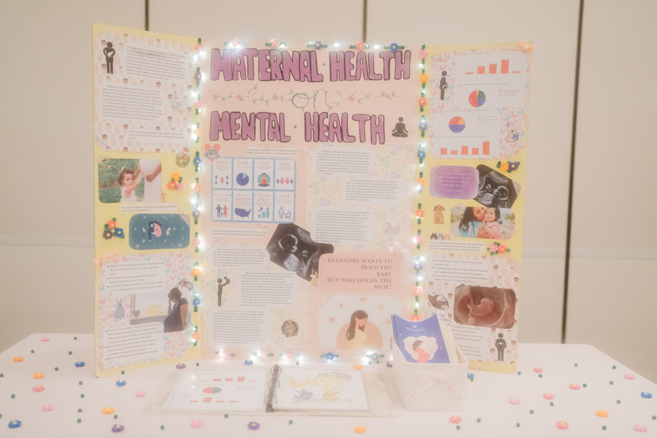 Maternal Health on Mental Health​