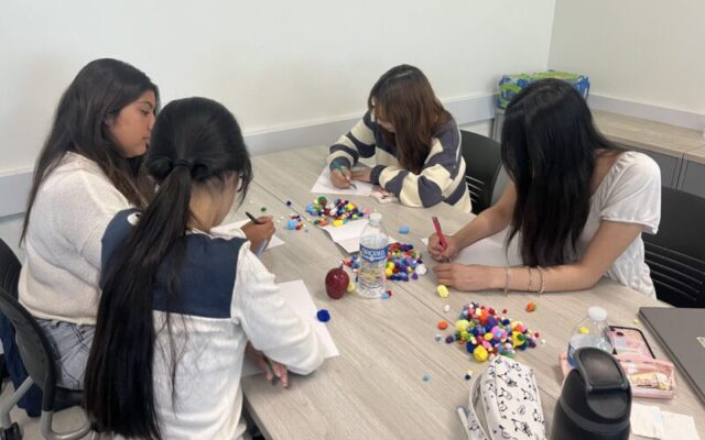 Youth Mental Health Academy - Child Mind Institute