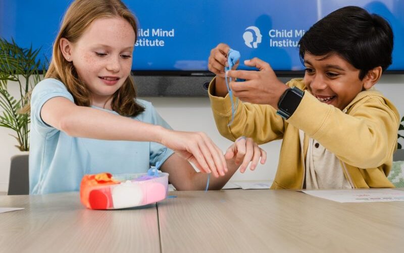 After-School Groups and Booster Program