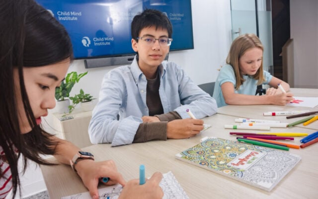 Dialectical Behavior Therapy (DBT)