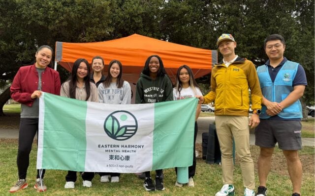 Host Interns from the Youth Mental Health Academy at Your Organization