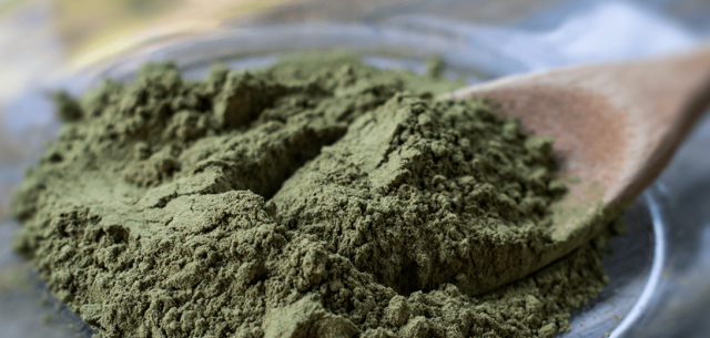 Kratom A Legal Drug That’s Dangerously Addictive