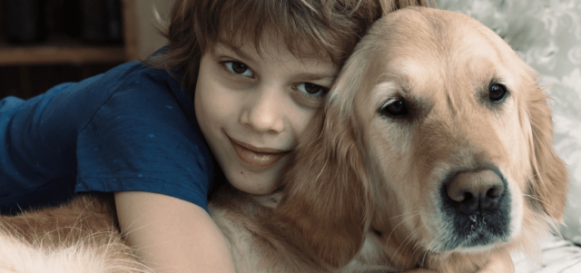 Service Dogs Love, Protect and Connect Autistic Kids