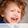Spannish How to Handle Tantrums and Meltdowns